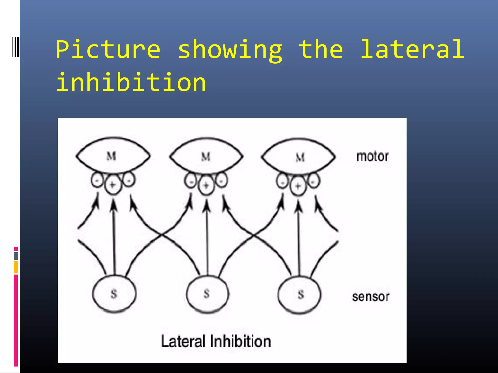 Inhibition of the central nervous system | PPT