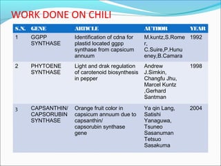 Inhibition of ζ carotene desaturase gene in chili | PPT