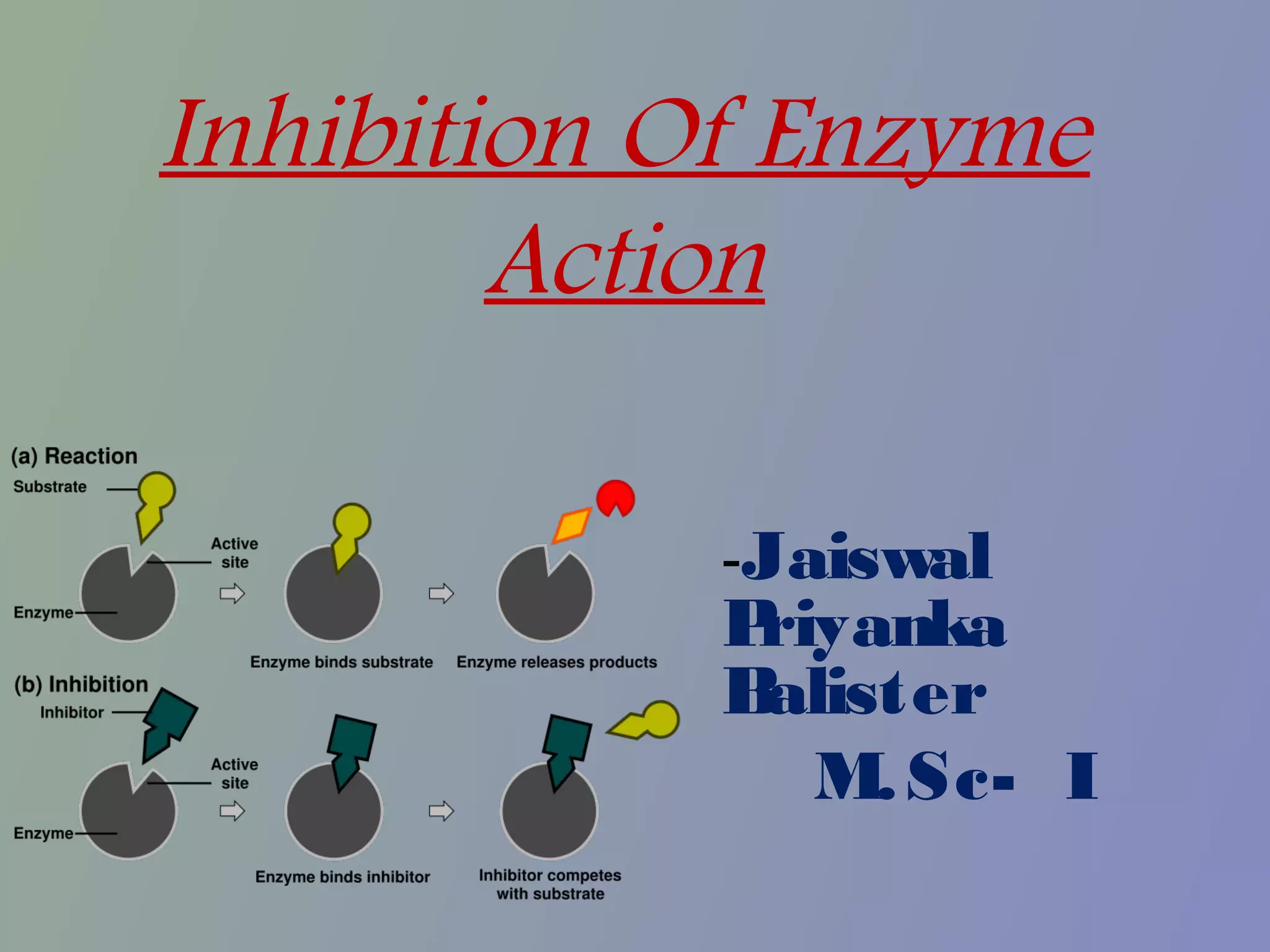 Inhibition of enzyme action | PPT