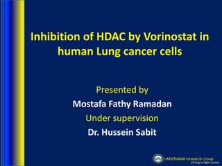 HANZHAMA Research Group
aiming to fight cancer
Presented by
Mostafa Fathy Ramadan
Under supervision
Dr. Hussein Sabit
Inhibition of HDAC by Vorinostat in
human Lung cancer cells
 