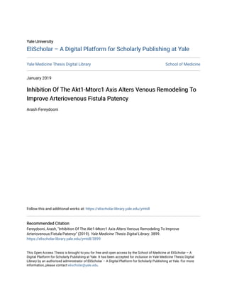 Yale University
Yale University
EliScholar – A Digital Platform for Scholarly Publishing at Yale
EliScholar – A Digital Platform for Scholarly Publishing at Yale
Yale Medicine Thesis Digital Library School of Medicine
January 2019
Inhibition Of The Akt1-Mtorc1 Axis Alters Venous Remodeling To
Inhibition Of The Akt1-Mtorc1 Axis Alters Venous Remodeling To
Improve Arteriovenous Fistula Patency
Improve Arteriovenous Fistula Patency
Arash Fereydooni
Follow this and additional works at: https://elischolar.library.yale.edu/ymtdl
Recommended Citation
Recommended Citation
Fereydooni, Arash, "Inhibition Of The Akt1-Mtorc1 Axis Alters Venous Remodeling To Improve
Arteriovenous Fistula Patency" (2019). Yale Medicine Thesis Digital Library. 3899.
https://elischolar.library.yale.edu/ymtdl/3899
This Open Access Thesis is brought to you for free and open access by the School of Medicine at EliScholar – A
Digital Platform for Scholarly Publishing at Yale. It has been accepted for inclusion in Yale Medicine Thesis Digital
Library by an authorized administrator of EliScholar – A Digital Platform for Scholarly Publishing at Yale. For more
information, please contact elischolar@yale.edu.
 