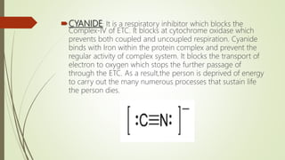 CYANIDE: It is a respiratory inhibitor which blocks the
Complex-IV of ETC. It blocks at cytochrome oxidase which
prevents both coupled and uncoupled respiration. Cyanide
binds with Iron within the protein complex and prevent the
regular activity of complex system. It blocks the transport of
electron to oxygen which stops the further passage of
through the ETC. As a result,the person is deprived of energy
to carry out the many numerous processes that sustain life
the person dies.
 