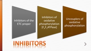 Inhibitors of the
ETC proper
Inhibitors of
oxidative
phosphorylation
[FoF1ATPase]
Uncouplers of
oxidative
phosphorylation
 