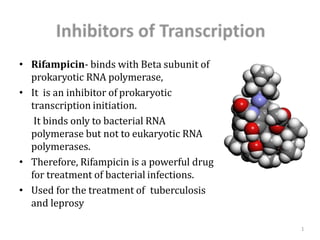 1
• Rifampicin- binds with Beta subunit of
prokaryotic RNA polymerase,
• It is an inhibitor of prokaryotic
transcription initiation.
• It binds only to bacterial RNA
polymerase but not to eukaryotic RNA
polymerases.
• Therefore, Rifampicin is a powerful drug
for treatment of bacterial infections.
• Used for the treatment of tuberculosis
and leprosy
 