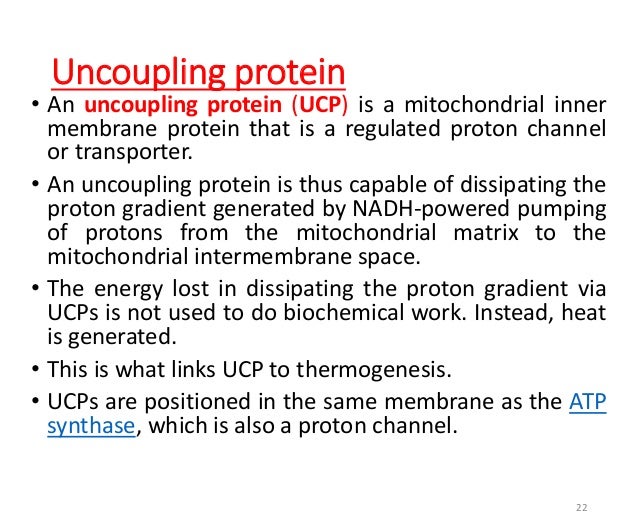 Inhibitors & uncouplers of oxidative phosphorylation & ETC