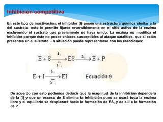 Inhibición competitiva
En este tipo de inactivación, el inhibidor (I) posee una estructura química similar a la
del sustrato: esto le permite fijarse reversiblemente en el sitio activo de la enzima
excluyendo el sustrato que previamente se haya unido. La enzima no modifica el
inhibidor porque éste no posee enlaces susceptibles al ataque catalítico, que si están
presentes en el sustrato. La situación puede representarse con las reacciones:
De acuerdo con esto podemos deducir que la magnitud de la inhibición dependerá
de la [I] y que un exceso de S elimina la inhibición pues se usará toda la enzima
libre y el equilibrio se desplazará hacia la formación de ES, y de allí a la formación
de P.
 