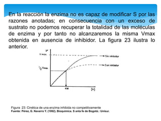 En la reacción la enzima no es capaz de modificar S por las
razones anotadas; en consecuencia con un exceso de
sustrato no podemos recuperar la totalidad de las moléculas
de enzima y por tanto no alcanzaremos la misma Vmax
obtenida en ausencia de inhibidor. La figura 23 ilustra lo
anterior.
Figura 23: Cinética de una enzima inhibida no competitivamente
Fuente: Pérez, G. Navarro Y. (1992). Bioquímica. S anta fe de Bogotá.: Unisur.
 