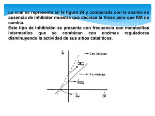 La cual se representa en la figura 24 y comparada con la enzima en
ausencia de inhibidor muestra que decrece la Vmax pero que KM no
cambia.
Este tipo de inhibición se presenta con frecuencia con metabolitos
intermedios que se combinan con enzimas reguladoras
disminuyendo la actividad de sus sitios catalíticos.
 