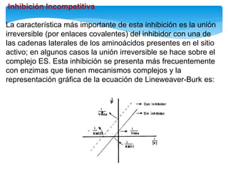 Inhibición Incompetitiva
La característica más importante de esta inhibición es la unión
irreversible (por enlaces covalentes) del inhibidor con una de
las cadenas laterales de los aminoácidos presentes en el sitio
activo; en algunos casos la unión irreversible se hace sobre el
complejo ES. Esta inhibición se presenta más frecuentemente
con enzimas que tienen mecanismos complejos y la
representación gráfica de la ecuación de Lineweaver-Burk es:
 