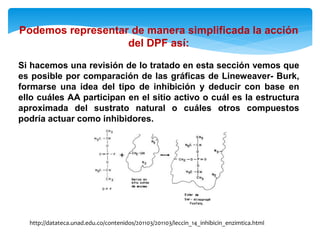 Podemos representar de manera simplificada la acción
del DPF así:
Si hacemos una revisión de lo tratado en esta sección vemos que
es posible por comparación de las gráficas de Lineweaver- Burk,
formarse una idea del tipo de inhibición y deducir con base en
ello cuáles AA participan en el sitio activo o cuál es la estructura
aproximada del sustrato natural o cuáles otros compuestos
podría actuar como inhibidores.
http://datateca.unad.edu.co/contenidos/201103/201103/leccin_14_inhibicin_enzimtica.html
 