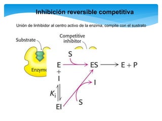 Inhibición reversible competitiva
Unión de linhibidor al centro activo de la enzima, compite con el sustrato
 