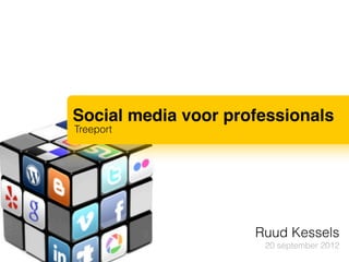 Social media voor professionals
Treeport




                     Ruud Kessels
                      20 september 2012
 