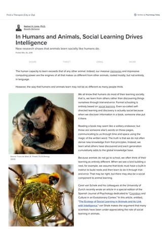 Veriﬁed by Psychology TodayFind a Therapist (City or Zip)
Nathan H. Lents, Ph.D.
Beastly Behavior
Source: Frans de Waal, (K. Powell, PLOS Biology
2003)
In Humans and Animals, Social Learning Drives
Intelligence
New research shows that animals learn socially like humans do.
Posted Mar 26, 2018
SHARE TWEET EMAIL MORE
The human capacity to learn exceeds that of any other animal. Indeed, our massive memories and impressive
computing power are the engines of all that makes us diﬀerent from other animals, rooted mostly, but not entirely,
in language.
However, the way that humans and animals learn may not be as diﬀerent as many people think.
We all know that humans do most of their learning socially,
that is, we learn from others rather than discovering things
ourselves through trial-and-error. Formal schooling is
entirely based on social learning. Even so-called self-
directed learning and discovery is actually social because
when we discover information in a book, someone else put
it there.
Reading a book may seem like a solitary endeavor, but
those are someone else's words on those pages,
communicating to us through time and space using the
magic of the written word. The truth is that we do not often
derive new knowledge from ﬁrst principles. Instead, we
learn what others have discovered and each generation
cumulatively adds to the global knowledge base.
Because animals do not go to school, we often think of their
learning as entirely diﬀerent. When we see a bird building a
nest, for example, we assume that birds must have a built-in
instinct to build nests and then learn to do it through trial-
and-error. That may be right, but there may also be a social
component to animal learning.
Carel van Schaik and his colleagues at the University of
Zurich recently wrote an article in a special edition of the
Spanish Journal of Psychology dedicated to "Cognition and
Culture in an Evolutionary Contex." In this article, entitled,
"The Ecology of Social Learning in Animals and its Link
with Intelligence," van Shaik makes the argument that many
scientists have been under-appreciating the role of social
learning in animals.
 