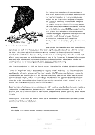Source: Larry Eifert, Clams on the Half Shell
References
van Scheick, et al. (2017). Spanish Journal of Psychology. Cambridge University Press.
SHARE TWEET EMAIL MORE
learn to open clamshells on their own, they deﬁnitely rely
on learning from conspeciﬁcs regarding where to ﬁnd these
claims.
The continuing discovery that birds and mammals do a
great deal of their learning socially, rather than individually,
has important implications for how human intelligence
evolved. It is well known that the explosion of innovation
and creativity in our lineage began well after our species
had adopted our current anatomical form, including brain
size, and is largely attributed to the acquisition of language
and symbolic thinking around 65,000 years ago. From this
point forward, each generation of humans inherited the
collected knowledge of the previous generation, which was
transmitted socially through language. This steady
accumulation of knowledge led to the eventual
development of agriculture and everything else ﬂowed from
that.
If we consider that our ape ancestors were already learning
a great deal from each other, the evolutionary drive toward cognitive capacity was really just a drive for "more of
the same." The great conundrum of language and symbolic thought is that humans had to have evolved the
capacity for these skills before they were actually used. You can't do something until you have the means to do it.
When it comes to language and symbolism and culture, it could be that the means to do it was social learning pure
and simple. Over the last seven million years (and even going much further back than that, truth be told), the
selective pressure was for increasing sociality, social cooperation, and social learning.
If we view human evolution as a rising tide of social learning, the emergence of language seems almost inevitable.
I further ﬁnd this probable because it also addresses a lingering paradox of ethology - how can natural selection
possibly be the only tool by which animals "learn" very complex skills? Of course, natural selection is involved in
shaping anything and everything about us, and of course some animals really do have genetically programmed
behaviors that are complex, such as a beaver building a dam, a behavior that appears to be almost completely
innate. But we are expecting too much of natural selection to think that all of the complex behaviors we see in
animals is the product of pure genetics and "survival of the ﬁttest."
Social learning resolves this conundrum. Animals species didn't have to sit around and wait for random mutation to
give them the innate knowledge of where to ﬁnd food. They learned from their parents and others. The role of
evolution, then, was to continually select for better learners, and better social learners speciﬁcally, at least in some
lineages.
Especially ours. The mutations that made us human with all our impressive abilities are those that made us better
social learners. We learned to be human.
COMMENT
 