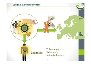 Pathogenic Animal Spatial Analysis to Identify Risk Areas of an Important Animal Disease ...