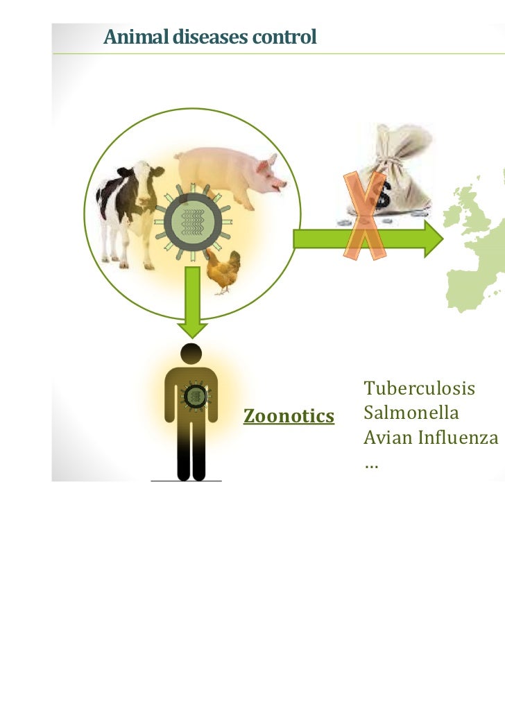 sampling analysis data Risk Analysis Identify of an Important Spatial Areas to sampling analysis data Risk Analysis Identify of an Important Spatial Areas to
