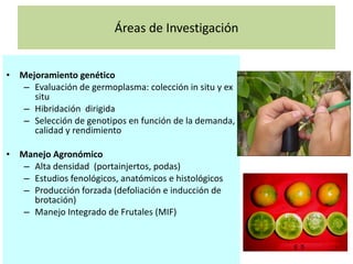 Políticas de investigación y transferencia de innovaciones tecnológicas en Ecuador