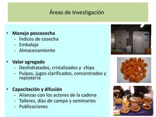 Políticas de investigación y transferencia de innovaciones tecnológicas en Ecuador