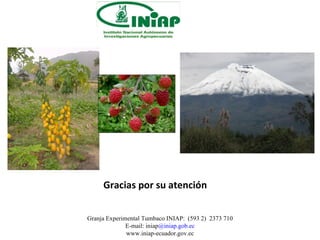 Políticas de investigación y transferencia de innovaciones tecnológicas en Ecuador