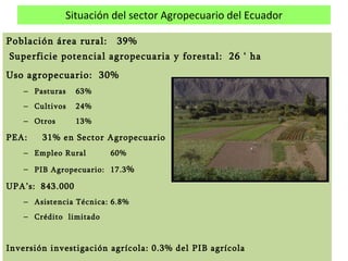 Políticas de investigación y transferencia de innovaciones tecnológicas en Ecuador