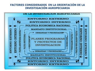 Políticas de investigación y transferencia de innovaciones tecnológicas en Ecuador