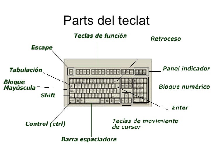 Resultado de imagen de TECLAT AMB TOTES LES SEVES PARTS