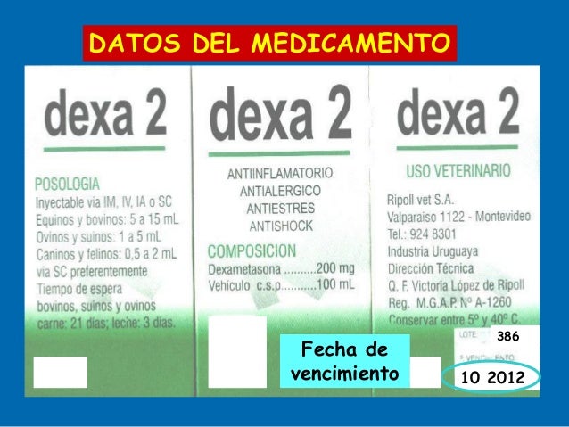 Iniciación al cálculo de dosis en veterinaria