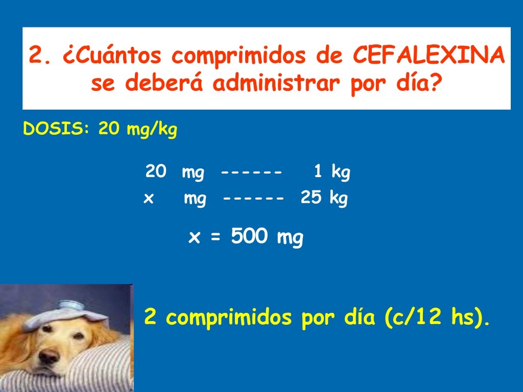 Iniciación al cálculo de dosis en veterinaria
