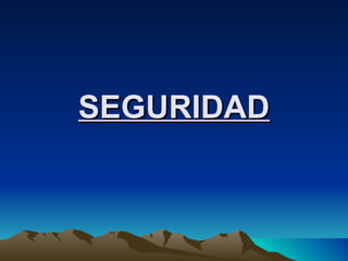 SEGURIDAD 