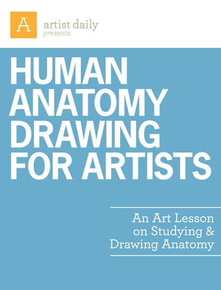 presents
An Art Lesson
on Studying &
Drawing Anatomy
Human
anatomy
drawing
for artists
 