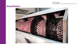 Despalilladora
 