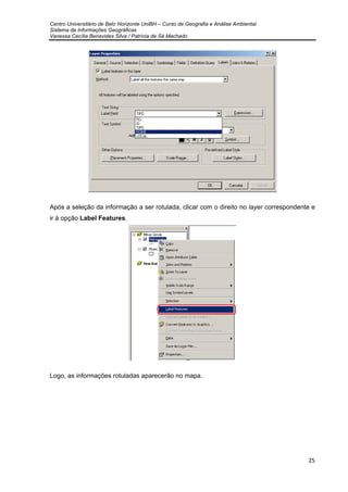 Centro Universitário de Belo Horizonte UniBH – Curso de Geografia e Análise Ambiental
Sistema de Informações Geográficas
Vanessa Cecília Benavides Silva / Patrícia de Sá Machado
25
Após a seleção da informação a ser rotulada, clicar com o direito no layer correspondente e
ir à opção Label Features.
Logo, as informações rotuladas aparecerão no mapa.
 