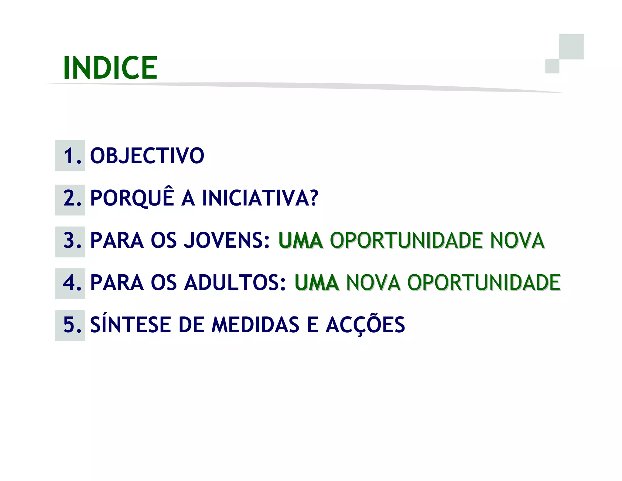 Iniciativa Novas Oportunidades