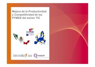 Mejora de la Productividad
y Competitividad de las
PYMES del sector TIC

 