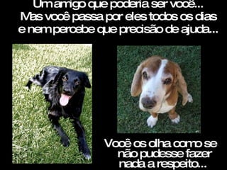 Um amigo que poderia ser você... Mas você passa por eles todos os dias e nem percebe que precisão de ajuda...  Você os olha como se não pudesse fazer nada a respeito...  