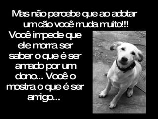 Você impede que ele morra ser saber o que é ser amado por um dono... Você o mostra o que é ser amigo...   Mas não percebe que ao adotar um cão você muda muito!!!  