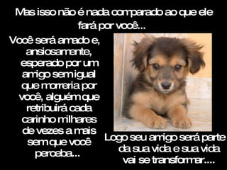 Mas isso não é nada comparado ao que ele fará por você...   Você será amado e, ansiosamente, esperado por um amigo sem igual que morreria por você, alguém que retribuirá cada carinho milhares de vezes a mais sem que você perceba...  Logo seu amigo será parte da sua vida e sua vida vai se transformar.... 