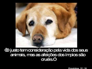“ O justo tem consideração pela vida dos seus animais, mas as afeições dos ímpios são cruéis.” Provérbios  12 : 10      