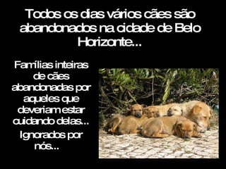 Todos os dias vários cães são abandonados na cidade de Belo Horizonte... Famílias inteiras de cães abandonadas por aqueles que deveriam estar cuidando delas... Ignorados por nós...  