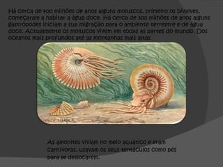 Há cerca de 400 milhões de anos alguns moluscos, primeiro os bivalves, começaram a habitar a água doce. Há cerca de 300 milhões de anos alguns gastrópodes iniciam a sua migração para o ambiente terrestre e de água doce. Actualmente os moluscos vivem em todas as partes do mundo. Dos oceanos mais profundos até as montanhas mais altas . 