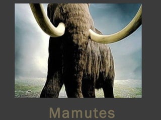 Mamutes 
