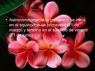 Astronómicamente la primavera se inicia en el equinoccio de primavera (21 de marzo) y termina en el solsticio de verano (21 de junio) 