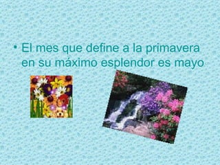 El mes que define a la primavera en su máximo esplendor es mayo  
