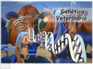 Genética
Veterinaria
 