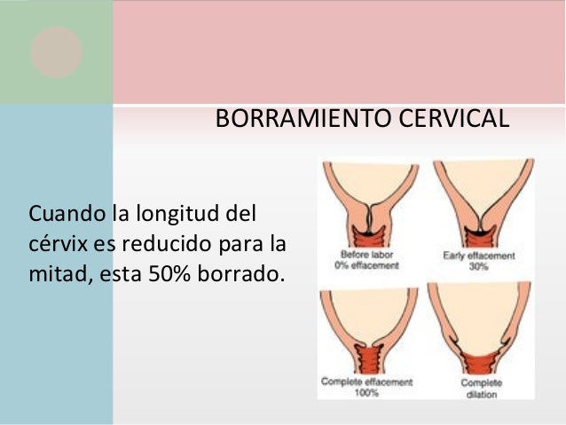 La clínica del tratamiento de la columna vertebral samara
