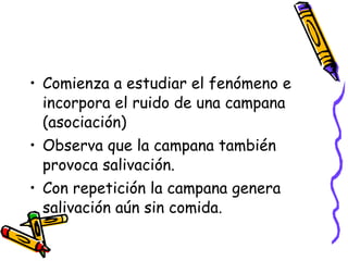 Comienza a estudiar el fenómeno e incorpora el ruido de una campana (asociación) Observa que la campana también provoca salivación.  Con repetición la campana genera salivación aún sin comida. 