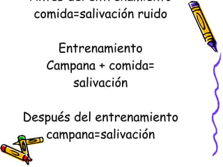 Antes del entrenamiento comida=salivación ruido Entrenamiento Campana + comida= salivación Después del entrenamiento campana=salivación 