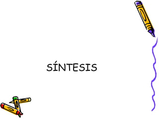SÍNTESIS 