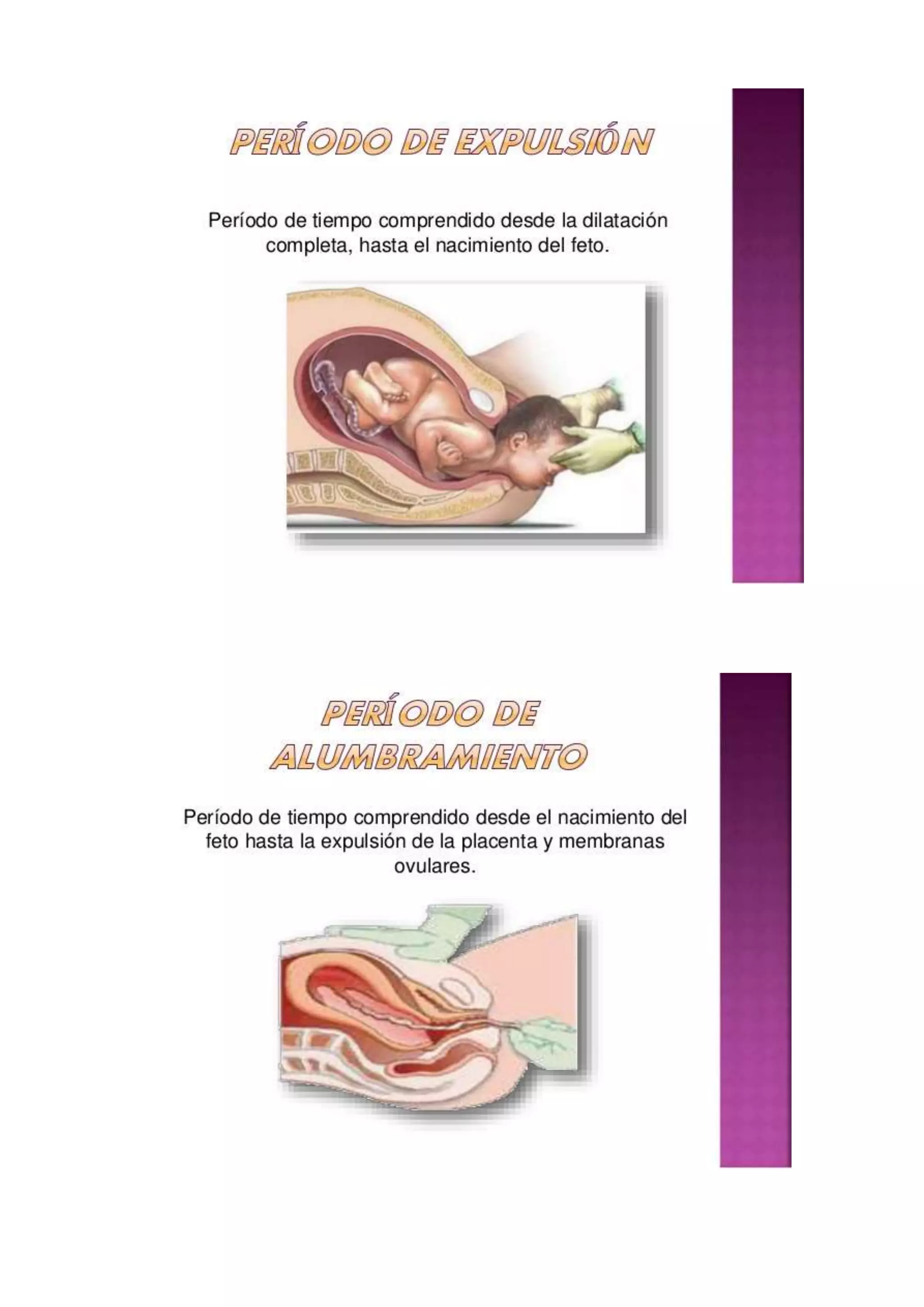 Inicio y evolucion del parto guia de estudio | PDF