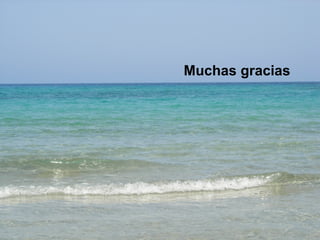 Muchas gracias
 